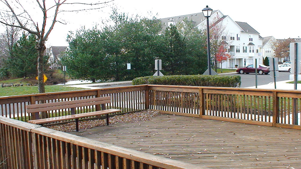 dsc01384.jpg