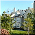 dsc01331.jpg
