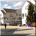 dsc01338.jpg