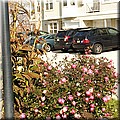 dsc01346.jpg