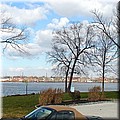 dsc01353.jpg