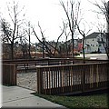dsc01354.jpg