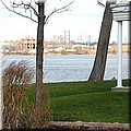 dsc01355.jpg