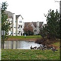 dsc01361.jpg