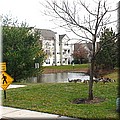 dsc01363.jpg