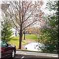 dsc01367.jpg
