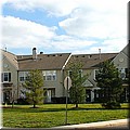 dsc01369.jpg