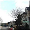 dsc01370.jpg