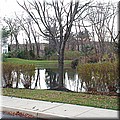 dsc01374.jpg